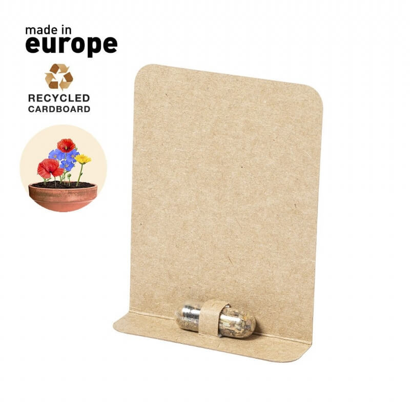 Zaadcapsule