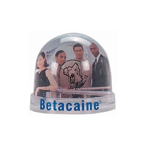 Presse-Papier 'Snow Globe' relatiegeschenk