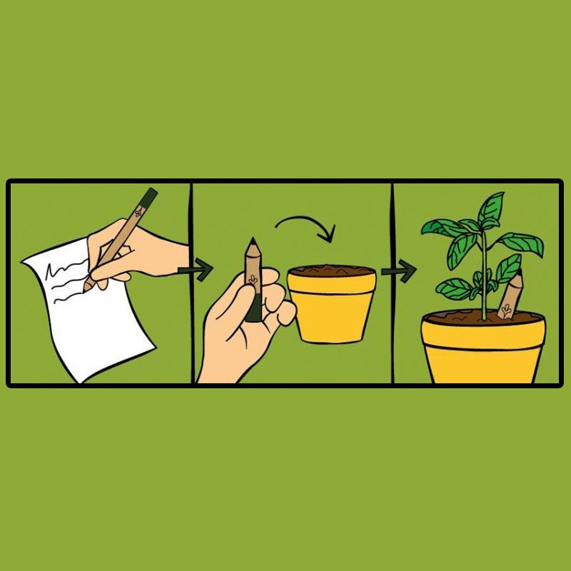 Plant eens een potlood