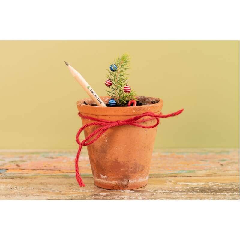Sprout potlood waaruit je eigen Kerstboom groeit